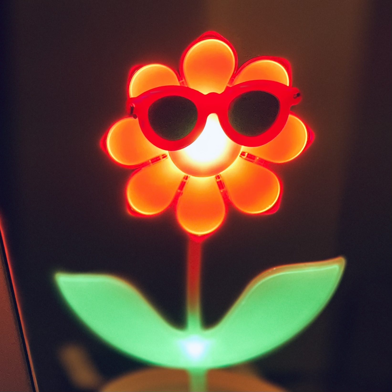 暗闇で赤く光るフラワーロック